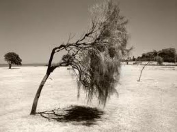 OS HOMENS SEM PÉ NO SEU TEMPO