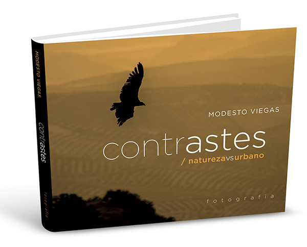 contrastes_3D_ok (blog)